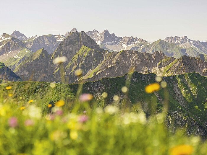 Foto „Blühende Aussicht auf die Berge“: Lea Farion, Platz 1, Kategorie A, 15-18 Jahre
