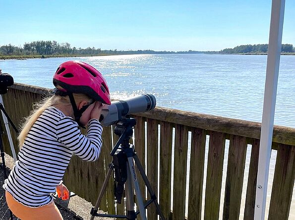Auch für die Kleinen interessant: Vogelbeobachtung am Stausee. (Foto: Angelika Habersetzer) Auch für die Kleinen interessant: Vogelbeobachtung am Stausee. (Foto: Angelika Habersetzer)