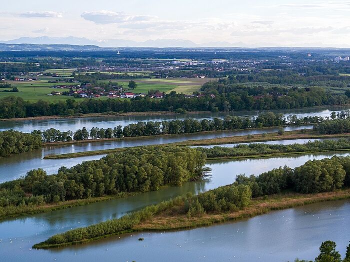 Aus Sandbänken entstehen bewaldete Inseln (Foto: Ingo Zahlheimer)