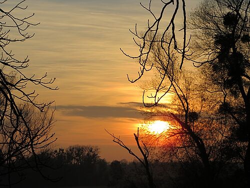 Sonnenuntergang - jetzt werden die Fledermäuse aktiv (Foto: Naturium)