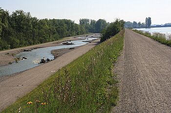 Umgehungsgewässer (links) und Staubereich beim Kraftwerk Ering-Frauenstein