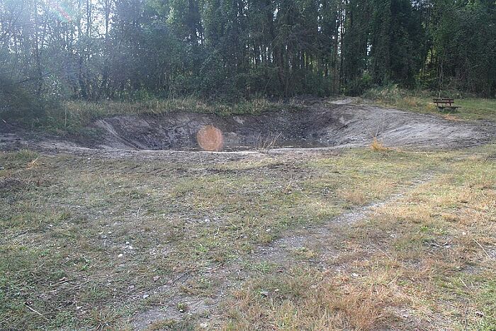 Feuchte Senke an der alten Brenne am Naturerlebnisweg (Foto: Andrea Bruckmeier)