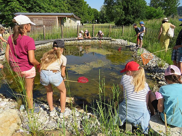 Auch der Teich sowie das ganze Aussengelände des Naturium wird für die Umweltbildung genutzt. (Foto: Naturium)