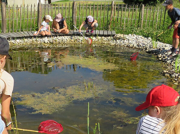 Keschern im Naturium-Teich. (Foto: Naturium am Inn) Keschern im Naturium-Teich. (Foto: Naturium am Inn)
