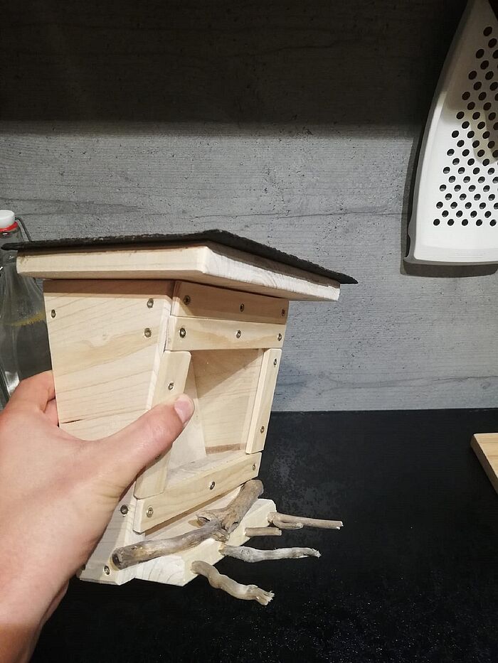 Das ist der Prototyp. Eine Vogelfutterstation "Premium", geplant und realisiert von Naturium-Guide Patrick Weikenkas. (Foto: P. Weikenkas)