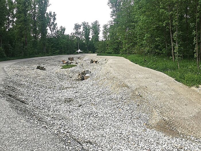 Im September wird Innwasser in das neue Umgehungsgewässer geleitet. (Foto: Dorena Buchmeier)