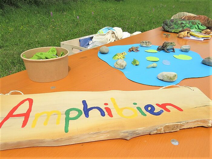 Die Amphibien-Station der Gebietsbetreuerin am Unteren Inn, Andrea Bruckmeier. (Foto: Naturium)