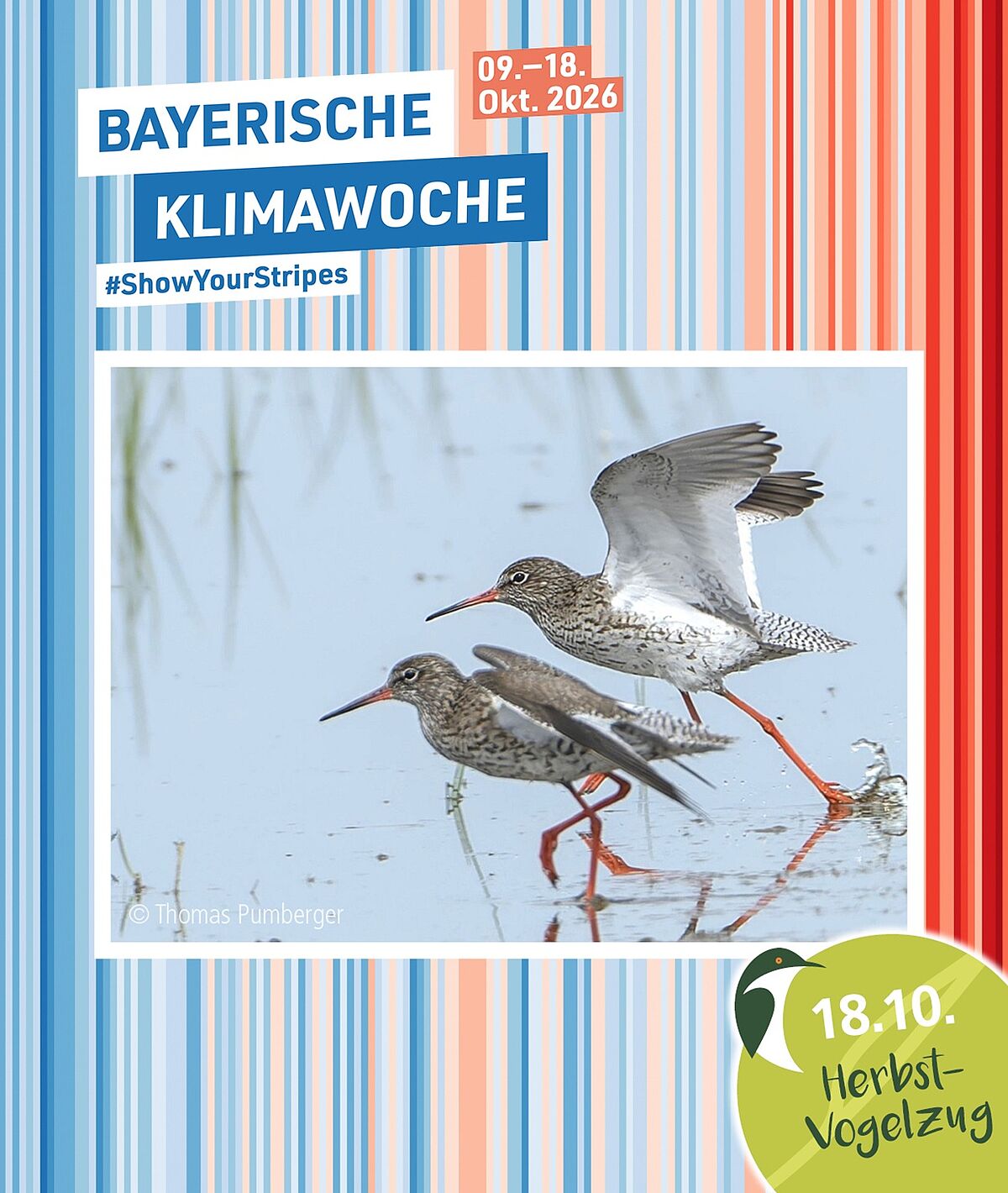 Grafik: Klimastreifen Rottal-Inn; Rotschenkel: Foto Thomas Pumberger