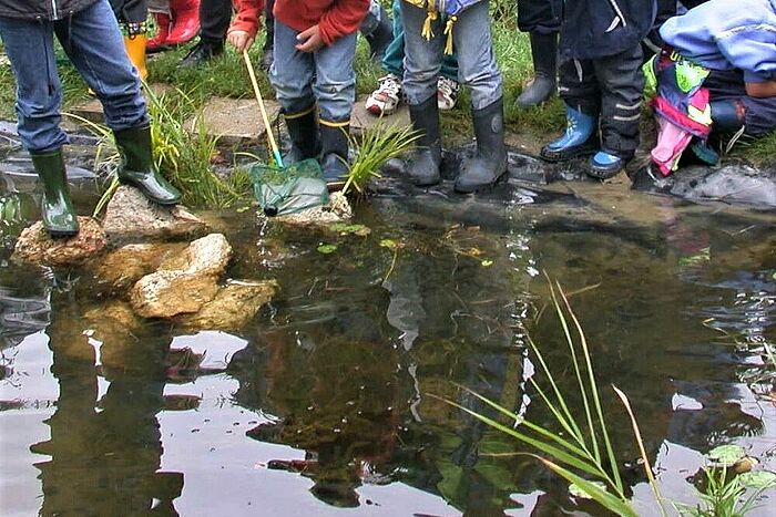 Das Leben am Teich erforschen. (Foto: Beate Brunninger)