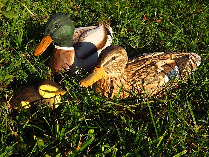 Wie sehen Mama, Papa und Baby Ente aus? - Anschauungsmodelle aus Holz