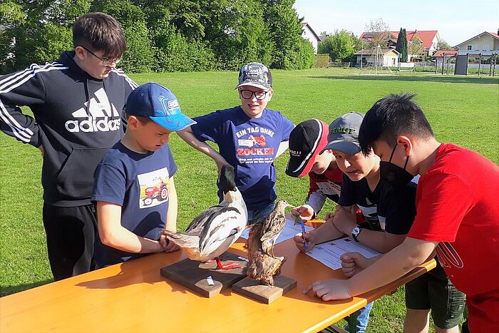 Was gibt es Interessantes über "meinen" Zugvogel zu erfahren? Die Schüler erarbeiten sich wissbegierig wichtige Infos über die Zugvögel. (Foto: Sandra Zebisch)