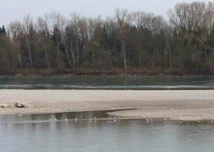 Sandbank (Foto: M. Bollmann)