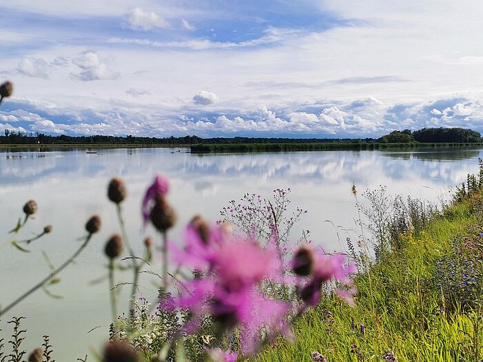 Am Stausee Ering-Frauenstein (Foto: Dorena Buchmeier)