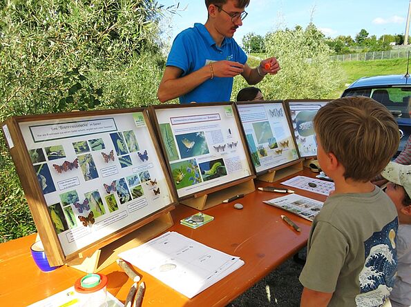 Informatives an der Insekten-Station der Zoologischen Ges. Braunau und BUND Naturschutz Rottal-Inn.