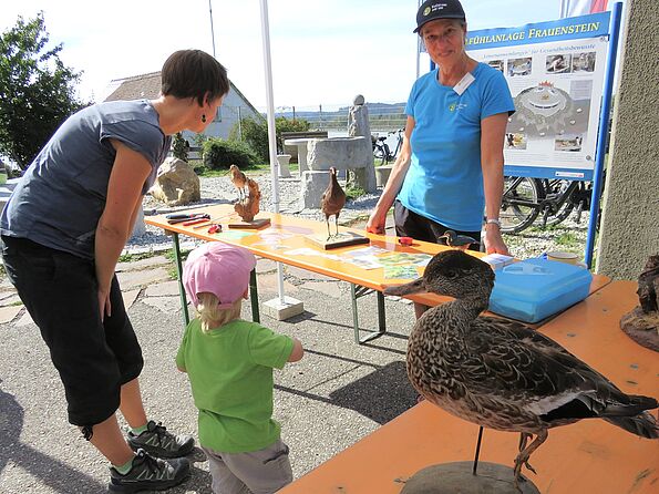 Wasservögel sind spannend - auch schon für die ganz kleinen Besucher.