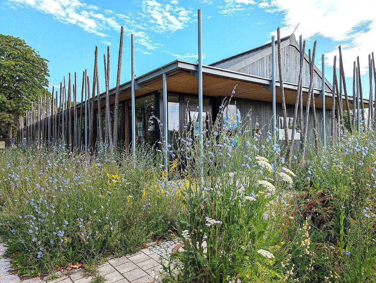 Das Naturium Sommer 2025 (Foto: Dorena Buchmeier) Das Naturium Sommer 2025 (Foto: Dorena Buchmeier)