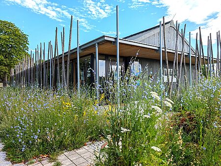 Sommerliche Blütenpracht am Naturium. (Foto: Dorena Buchmeier) Sommerliche Blütenpracht am Naturium. (Foto: Dorena Buchmeier)