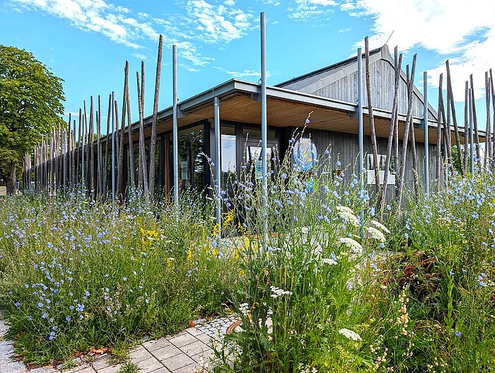 Das Naturium am Inn (Foto: Dorena Buchmeier)