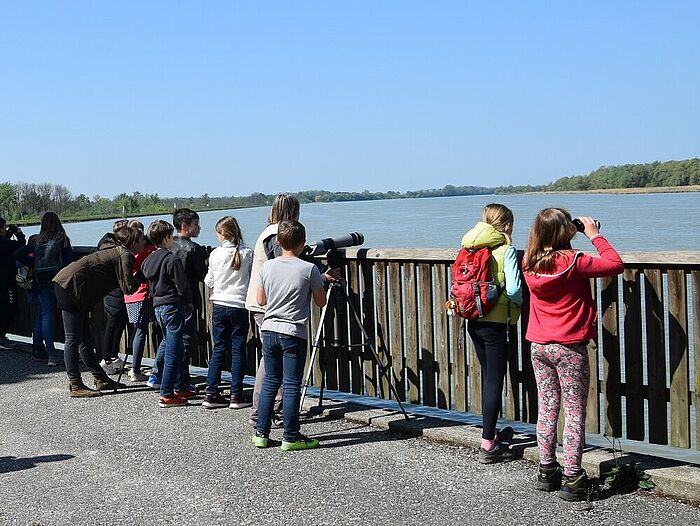 Junge Naturforscher unterwegs (Foto: Landratsamt Rottal-Inn)