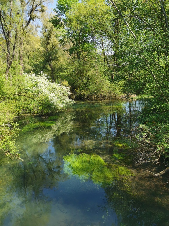 Erlebnisstation Quellbach (Foto: Dorena Buchmeier)