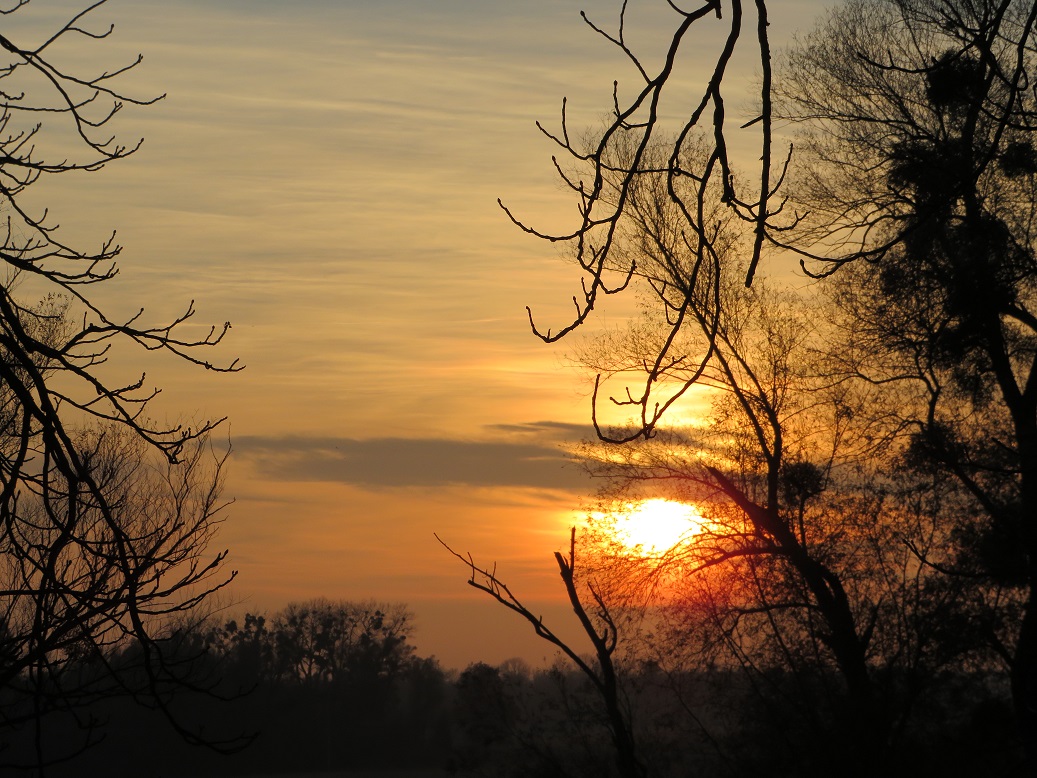 Sonnenuntergang über der Au. (Foto: Marianne Bollmann)