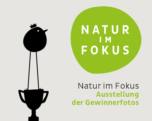 Fotoausstellung: Natur im Fokus